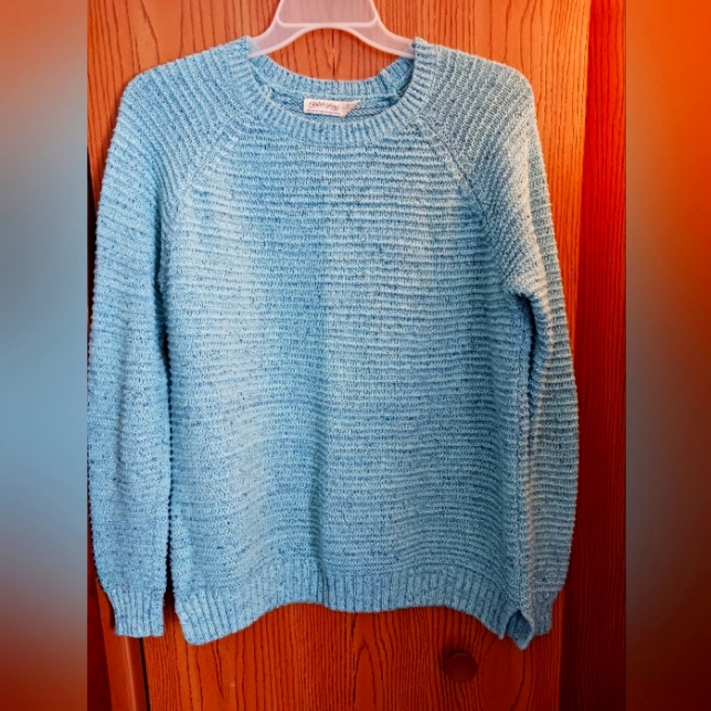 Faded Glory Sweater